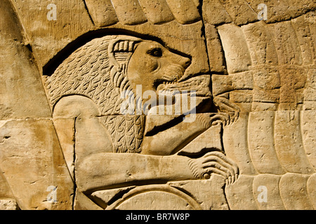 Löwe-Relief in Kom Ombo Tempel, Ägypten Stockfoto