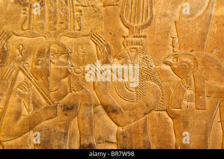 Reliefs am Kom Ombo Tempel, Ägypten Stockfoto