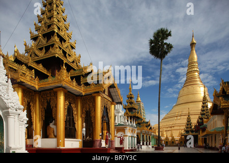 Strahlend in gold und verziert mit Diamanten, die riesige Shwedagon-Pagode (auch Shwe Dagon Pagode oder Shwedagon Paya) in Yangon Stockfoto