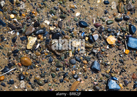 Strand Hintergrund - nasse Kieselsteine und Muscheln im Sand Stockfoto