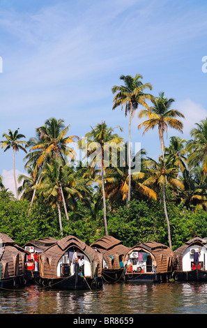 Hausboote auf den Backwaters von Kerala, Kerala, Indien Stockfoto