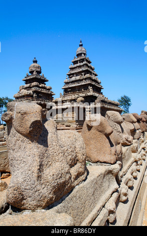 Die Shore Tempel, Mamallapuram, Tamil Nadu, Indien Stockfoto