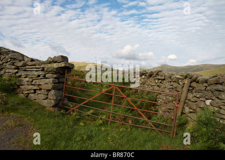 Alte Bauern Tor auf ein Feld mit trockenen Stein Wand im Lake District Stockfoto