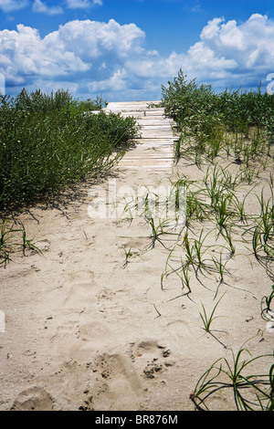 Ein kleinen Holzsteg führt zu einem geschlossenen Strand an der Golfküste. Stockfoto