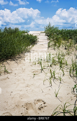 Ein kleinen Holzsteg führt zu einem geschlossenen Strand an der Golfküste. Stockfoto