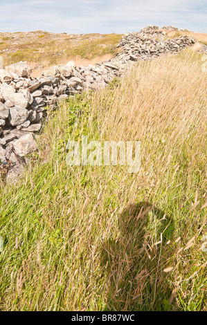 Historischen Steinmauern, Roste Cove Rock Wände National Historic Site, Roste Cove, Newfoundland, Kanada; der 1700er-1900 gebaut Stockfoto