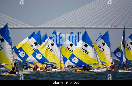 Rennsport bei der Weltmeisterschaft Sunfish, Charleston, South Carolina, USA. Stockfoto