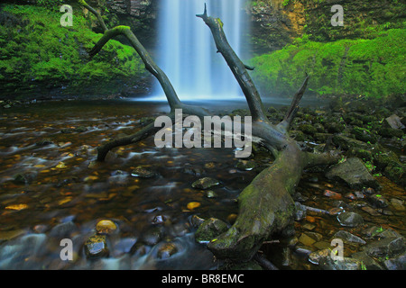 Henrhyd Wasserfall; Vale of Neath; Südwales; Vereinigtes Königreich. Stockfoto