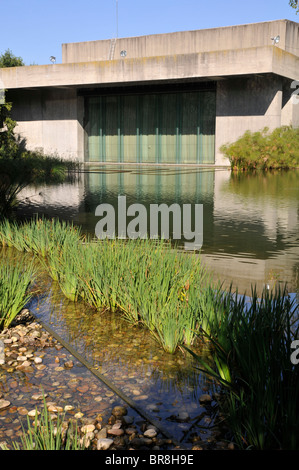 Der Teich und das Auditorium des Gartens Calouste Gulbenkian in Lissabon, Portugal Stockfoto