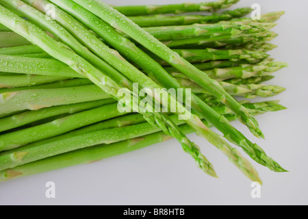 Spargel, Nahaufnahme, weißer Hintergrund Stockfoto