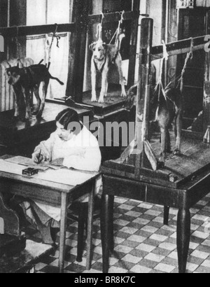 IVAN PAVLOV (1849-1936) Hunde und wissenschaftliche Mitarbeiterin am St. Petersburg laboratory Stockfoto