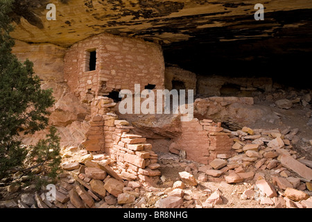 Indianischen Ruinen befindet sich auf Comb Ridge im Bereich große Höhle oder "Fisch-Mund-Höhle" in Utah. Stockfoto