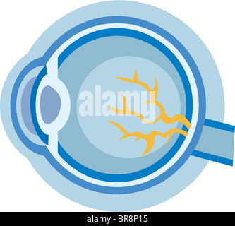 Illustration des Bulbus Stockfoto