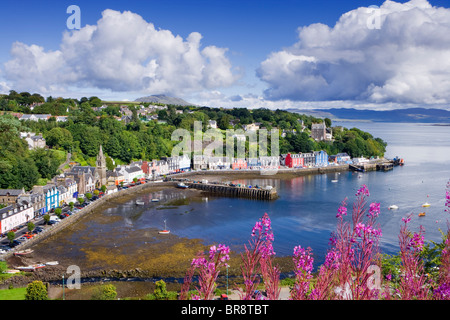 Tobermory, Isle of Mull, Argyll, Schottland, Großbritannien. Stockfoto