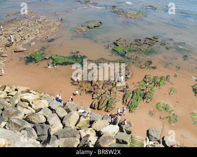 Rock-Pools und Urlauber in Sidmouth von Jacobs Ladder auf einem feinen August Sommertag, Devon Stockfoto