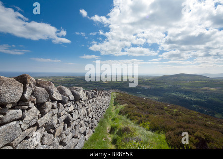 Trocknen Sie vom Slieve Binian, Mourne Mountains, County Down, Nordirland, Vereinigtes Königreich, mit Blick auf Carlingford Lough Steinmauer führt Stockfoto