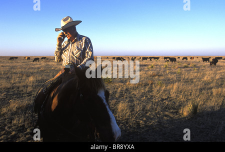 Ein Cowboy Gespräche auf einem Mobiltelefon während der Fahrt mit seinem Pferd in Milnesand New Mexico. Stockfoto