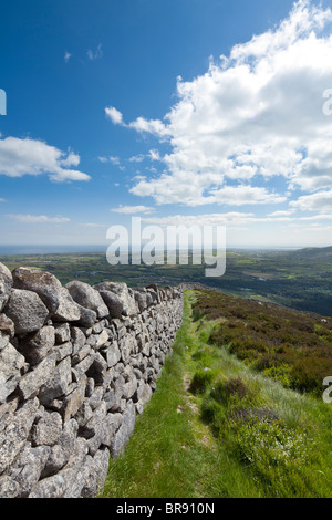 Trocknen Sie vom Slieve Binian, Mourne Mountains, County Down, Nordirland, Vereinigtes Königreich, mit Blick auf Carlingford Lough Steinmauer führt Stockfoto