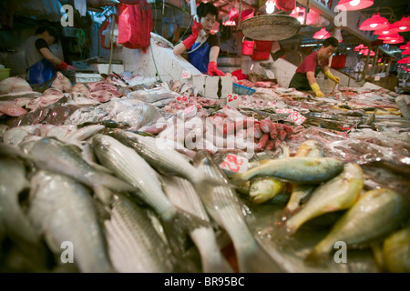 Ein Fischmarkt in Hong Kong SAR Zentralchina. Stockfoto