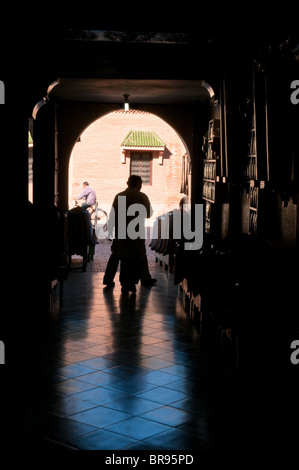 Traditionelle Pflanzen Apotheke Ambiente in Marrakesch, Marokko. Stockfoto