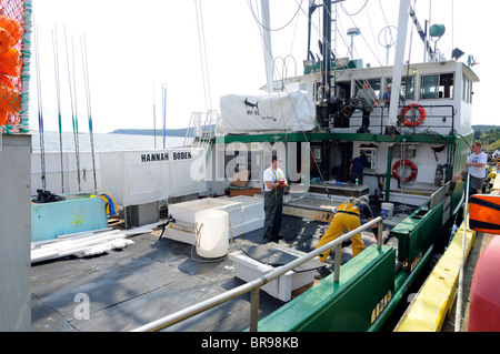 Hannah Boden Swordfish Boot In Bay Bulls, Neufundland aus laden sie zu fangen, Kapitän Linda Greenlaw Stockfoto