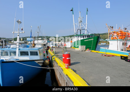 Hannah Boden und Adlerauge ll Schwertfisch Boote In Bay Bulls, Neufundland aus der Fernsehserie "Schwerter Life On The Line" Stockfoto