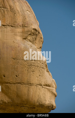 Seitenansicht der Sphinx an den Pyramiden von Gizeh in Ägypten Stockfoto