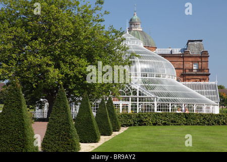 Glasgow Winter Garden auf Glasgow Green im Sommer, Schottland, Großbritannien Stockfoto