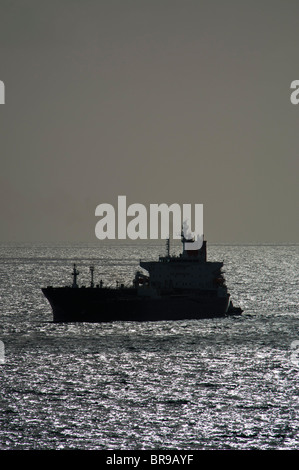 Port Everglades, Florida, USA. Öltanker, Sunshine State Andocken mit Hilfe von Seabulk Abschleppen Schlepper, New River. Stockfoto