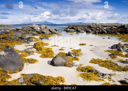 Sanna Bay, Ardnamurchan, Highland, Schottland, Vereinigtes Königreich. Stockfoto