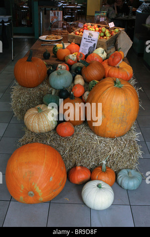 Verschiedene Arten von Kürbis auf dem Display in einem restaurant Stockfoto