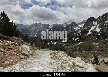 Alpinen Hochwald und Els Encantats Bergspitze auf Pyrenäen Traverse verfolgen Sant Maurici Nationalpark Pyrenäen Spanien Stockfoto