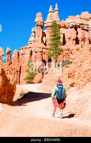 Durch Bruce Canyon wandern Stockfoto