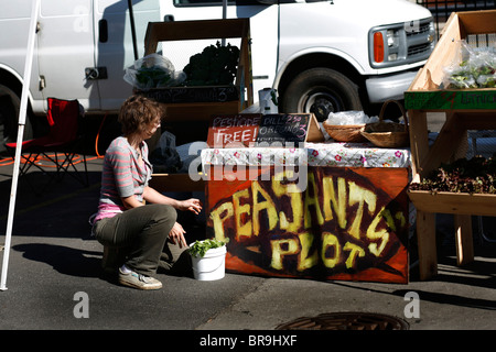 Bauernhof in Manteno Illinois. Stockfoto