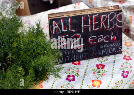 Bauernhof in Manteno Illinois. Stockfoto