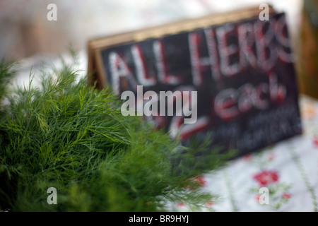 Bauernhof in Manteno Illinois. Stockfoto