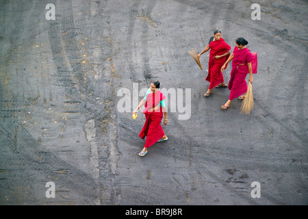 Drei Sari bekleideten Frauen bereiten die Docks in Chennai Hafen Chennai Indien zu fegen. Stockfoto