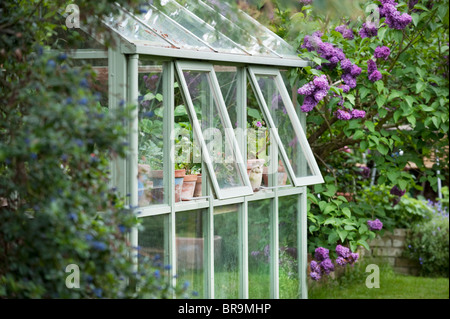 Gewächshaus im Garten bei offenem Fenster zur Belüftung Stockfoto