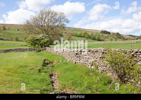 Dentdale in der Nähe von Cowgill in den Yorkshire Dales National Park. östlich von Dent, Cumbria Stockfoto