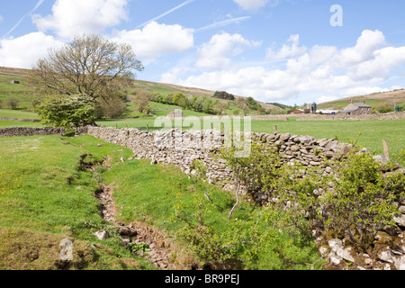 Dentdale in der Nähe von Cowgill in den Yorkshire Dales National Park. östlich von Dent, Cumbria Stockfoto