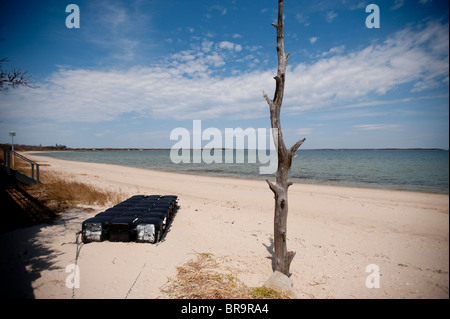 Bilder, die in der Azurest Gemeinschaft von Sag Harbor, New York. Eine Strandgemeinde der Afro-Amerikaner am östlichen Ende von Long Islan Stockfoto