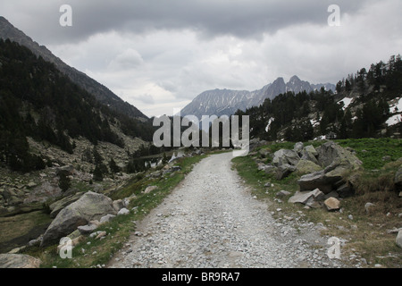 Alpinen Hochwald und Els Encantats Bergspitze auf Pyrenäen Traverse verfolgen Sant Maurici Nationalpark Pyrenäen Spanien Stockfoto