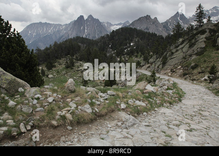 Alpinen Hochwald und Els Encantats Bergspitze auf Pyrenäen Traverse verfolgen Sant Maurici Nationalpark Pyrenäen Spanien Stockfoto