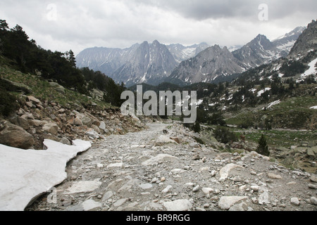 Alpinen Hochwald und Els Encantats Bergspitze auf Pyrenäen Traverse verfolgen Sant Maurici Nationalpark Pyrenäen Spanien Stockfoto