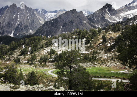 Alpinen Hochwald und Els Encantats Bergspitze auf Pyrenäen Traverse verfolgen Sant Maurici Nationalpark Pyrenäen Spanien Stockfoto