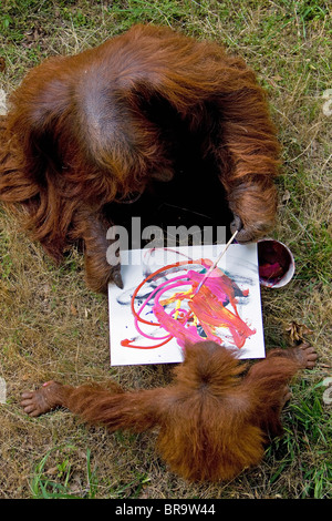 Orang-Utans im Zoo Atlanta Malerei Stockfoto