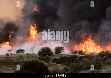 1980ER JAHRE WEHENDEN SCHWARZEN RAUCH UND FLAMMEN AUS FOREST BUSCHFEUER OJAI, KALIFORNIEN Stockfoto