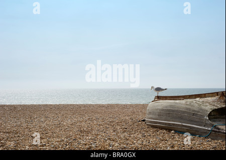 Eine Möwe steht auf dem Bug eines umgedrehten Boot am Strand. Brighton Seafront, East Sussex, England Stockfoto