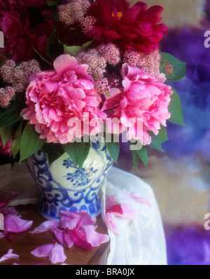 BOUQUET VON PFINGSTROSEN IN BLAU-WEIß VASE STILLLEBEN Stockfoto
