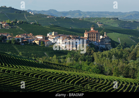 Barolo. Italien. Die kleine Stadt Barolo inmitten von Weinbergen in der Langhe Region Piemont. Stockfoto